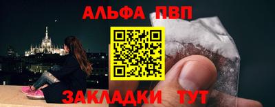 стаф Можга