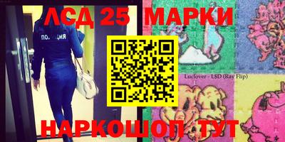 стаф Можга