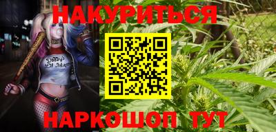 стаф Можга
