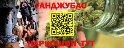 стаф Можга