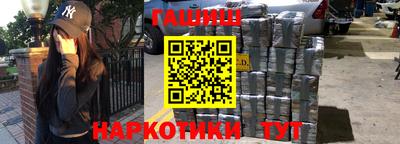 стаф Можга