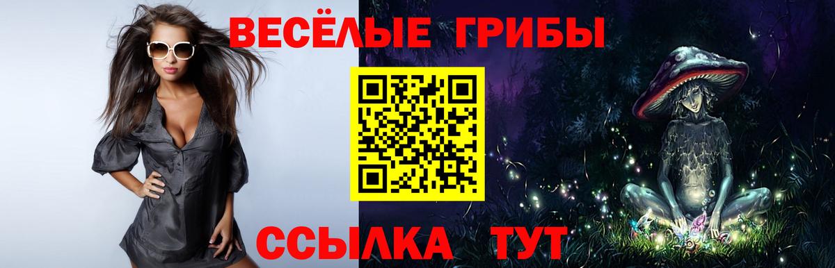 Псилоцибиновые грибы прущие грибы Великие Луки